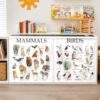 NEFMGEG 328-ZF-GZL-Classroom Cabinet Curtains for Classroom Shelves