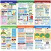 NewPath Learning Math Bulletin Board Chart Set, Data, Graphs & Probability, Set of 6, 18 x 12 in (93-6503)