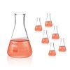 Okulab Conical Flask Set, Glass Erlenmeyer Flasks, 6pcs of Vol.50ml, Borosilicate 3.3 Glass Material with Printed Graduation.EFNG50A6