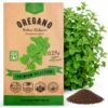 Oregano Seeds Pack 0.25 G - Over 3500 Non-GMO Heirloom Italian Vulgare Oregano Seeds for Planting