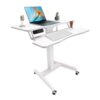 PANEKOLO Electric Height Adjustable Desk 31-51in, Mobile Standing Desk