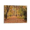 Park Autumn Leaves on Canvas Framed Farmhouse Posters Pictures Ready to Hang Artwork Wall Art for Dining Room Apartment Home Decorations 8"x10"