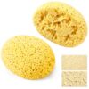 Patelai 2 Pcs Knockdown Texture Sponges, Orange Peel Texture Sponge DIY Wall Painting Patch Sponge Heavy Duty Contractor Match Tool for Wall Drywall Ceiling Patch/Repair/Home Decor (11 * 9 * 5cm)