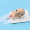 Pediatric Tracheal Intubation Model Lung Stomach Anatomy Teaching Tool