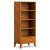 Pemberly Row Solid Hardwood 60 x 24 Bookcase with Storage in Teak Brown