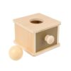 PETSOLA Ball Drop Toy Box with Ball Problem Solving Developmental Fine Motor Skills