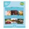 Phonic Books Dandelion Mundo Spanish Decodables Set 2 (Phonic Books Beginner Decodable) (Spanish Edition)