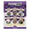 Phonic Books Lost in London (Phonic Books Catch-Up Decodable Readers)