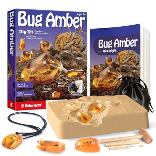 Piano Potato Bug Amber Dig Kit - 6 Artificial Insect Resin, Excavate Unique Bug Specimens and Natural Amber, STEM Educational Bug Toys, Science Kits for Kids Age 6-12, Ideal Gifts for Boys & Girls