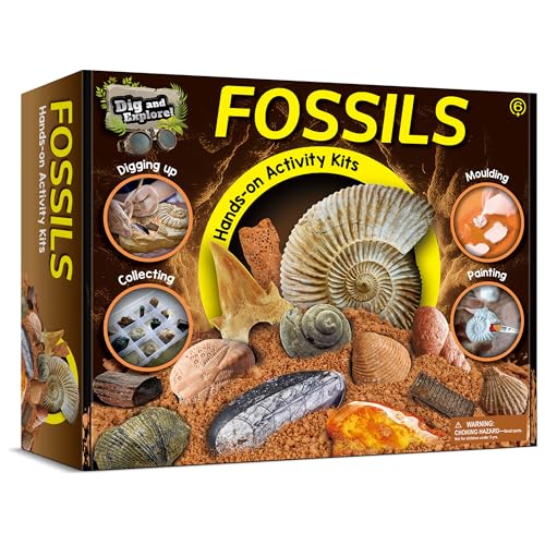 Piano Potato Fossil Dig Kit for Kids - 12 Unique Prehistoric Specimens, STEM Paleontology Excavation Set with Painting & Molding Activities, Educational Science Gift for Boys & Girls Ages 6+