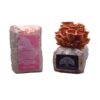 Pink Oyster Mushroom Grow Kit by Oakland Mushroom Co. | Handmade with Organic Ingredients | Ready to Grow | Harvest in 7-10 Days