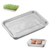 Plant Sprouting Tray - Reusable Growing Tool