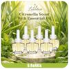 Plug in Air Freshener Refills, Citronella Lemongrass Summer Scents for Indoor Home Backyard Camping BBQ Summer Use, 6 Count 3.96 FL OZ, Compatible with Air Wick & Glade