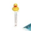 Pool Thermometer Floating Duck, Easy Read Pool Thermometer with String
