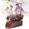 Premium Quality Growing System, Hydroponics Indoor Garden, Herb Kit, Suitable for Vegetables, Spices and Fruits
