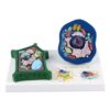 Professional Animal Plant Cell Anatomy Model with Detacheable Parts for Classroom Learning and Biology Science Lab Study Detachable Cell Model