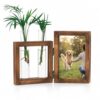 Propagation Stations Glass Planter with 4x6 Picture Frame Wooden Vase for Indoor Gardening Desk Decor Plant Terrarium
