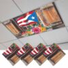 Puerto Rico Flag Magnetic Fluorescent Light Covers for Ceiling Lights 2x4 Ft,Farmhouse Retro Flowers American Flags Office Kitchen Drop Ceiling Light Covers Lighting Filters Shade Panel 4 Packs