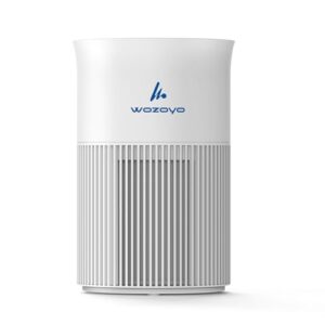 Pure Air PA1 Wozoyo Air Purifier For Bedroom Home, Office, Desktop, AHAM VERIFIDE, Covers Up To 300 ft², 3-in-1 HEPA Filter Cleaner With Aroma Pad, Filters Smoke, Pet Dander, Odor, Dust