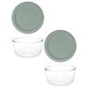 Pyrex (2 7201 4-Cup Glass Bowls with (2) Tranquil Green Lids - Made in USA
