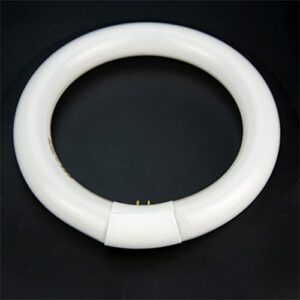 QERTYHJK Portable Reading Energy Saving Lamp Round Magnifying Glass White Light