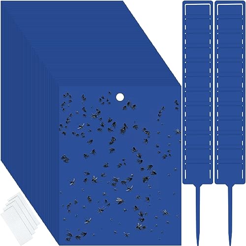 Qualirey 50 Pcs Blue 6 x 8 Inch Sticky Traps for Gnats Dual Sided Fruit Fly Sticky Traps for Indoor and Outdoor Plant with Twist Ties and Plastic Holders for Fungus Gnats, Bug, Flying Insect