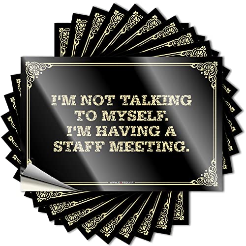 Quote Funny Kitchen Decor Custom Stickers, Tumbler Waterproof I'm Not Talking to Myself. I'm Having A Staff Meeting. for Hydro Flask | Punk Vinyl Decals for Cruise Holiday Gift(6X9CM)
