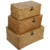 Rattan Storage Basket Makeup Organizer Multipurpose Container with Lid (S//L)