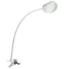 Reading Magnifying Glass Desk Lamp Eyebrow Tattoo Embroidery Assistance LED