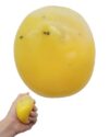 Realistic Mashed Potato Squishy Non-Rebound Sensory Fidget