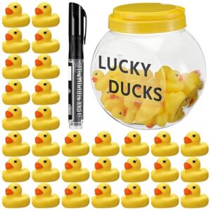 Reallnaive 36 Lucky Rubber Ducks for Classroom Jar Management Duck Themed Raffle Box Includes 36 Rubber Ducks, 1 Whiteboard Marker and 2 Stickers for Back to School Management Tool