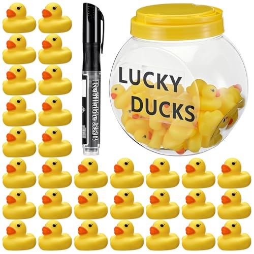 Reallnaive 36 Lucky Rubber Ducks for Classroom Jar Management Duck Themed Raffle Box Includes 36 Rubber Ducks, 1 Whiteboard Marker and 2 Stickers for Back to School Management Tool