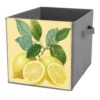 Reccmeny Lemons And Slices Cube Storage Bins