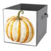 Reccmeny White Pumpkin with Orange Stripes Cube Storage Bins