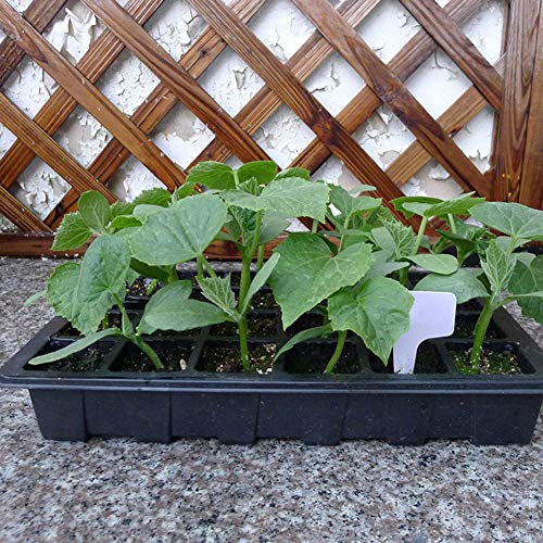 Rengue 24 Cell Seedling Tray with Lid, Plastic Seed Starter Trays 3 Pack Stackable Nursery Pots, Clear Humidity Dome, Space Saving for Indoor Outdoor Gardeners and Beginners (Black)