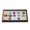 RIZGHWOY Rock and Mineral Collection Kit for Kids, with Transparent Display Box and Identification Labels for Geology Education and Science Learning (Set 3)