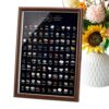 Rock Collection for Kids Geology Learning Exploration Display Decoration