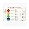 RXDNOZNNK Social Emotional Learning (SEL) Poster - Feelings Thermometer with Coping Skills for Classroom Wall Decor(Framed,16X24inch(40X60cm))