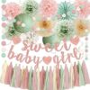 Sage Green and Blush Pink Baby Shower Decorations - Sweet Baby Girl Banner, Olive Green Lanterns, Streamers, Tissue Pom Poms, Paper Fans, Pink Beige Boho Paper Tassel, Rustic Backdrop Decor