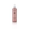 SALERM Absolut Evolution 3.0 LISS CREAM, Straight & Smooth Hair with Keratin, Plex Fiber Protect Absolute, Complete Straightening Treatment Cream