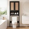 Salfanre Over the Toilet Storage Cabinet