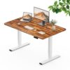 SANODESK Solid Acacia Wood Standing Desk Dual Motor 55.1x27.6 Natural/White