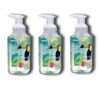S'cent T'heory Foaming Hand Soap, Island Aloe 11 fl oz, Pack of 3