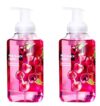Scen~t Theor~y Foaming Hand Soap Wild Black Cherry 11 fl oz (2 pack)