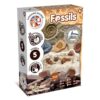 Science4you Fossil Digging Kit for Kids – Archeology, Excavation and Paleotology Kits for Kids, Fossil Dig, Stem Toy and Gift for Boys and Girls Age 6 7 8-12+