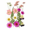 Sclmgo Children Paper Crafting papermaking Glue Bottles Dried Flower Bags Tweezers Metal Whisk Suitable for Children Art Lessons Family Creative, Pale Rose Flowers, Rose