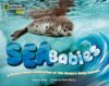 Sea Babies: A Picture Book Celebration of the Ocean's Baby Animals