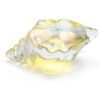 Seashell Squishy Fidget Toy, Ocean Conch Sensory Squishies Squeeze Toy with Starfish Pearl Glitter, Soft TPR for Stress Relief, Desk Play, Party Favors, Goodie Bag Stuffers, Cute Kawaii Gift Idea