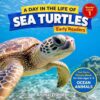 Sea Turtles: A Day in the Life of a Sea Turtle for Kids: Fun Facts Nonfiction Picture Book for Early Readers, Classrooms, and Homeschool Kids Ages 5–9