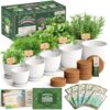 Seedboy Organic Non-GMO Herb Seeds for Planting (Herb Garden Starter Kit)